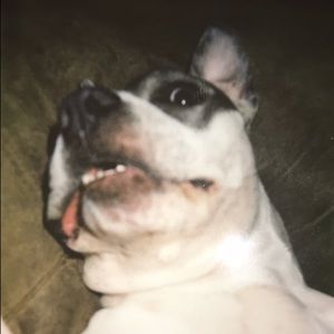 Meet your Posher, Ciera